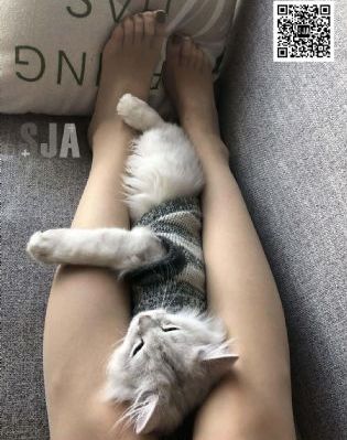 不卡的高清國產av_1080在線視頻播放
